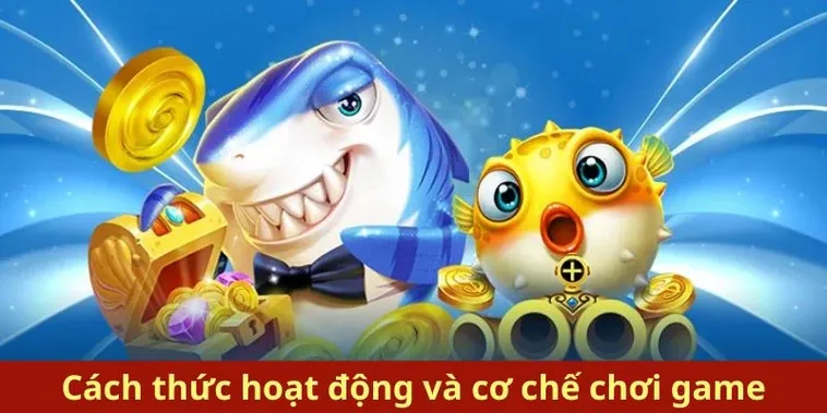 Hướng Dẫn Cách Chơi Bắn Cá Royal Fishing Tại 777Loc Hiệu Quả Nhất 2 Hướng Dẫn Cách Chơi Bắn Cá Royal Fishing Tại 777Loc Hiệu Quả Nhất