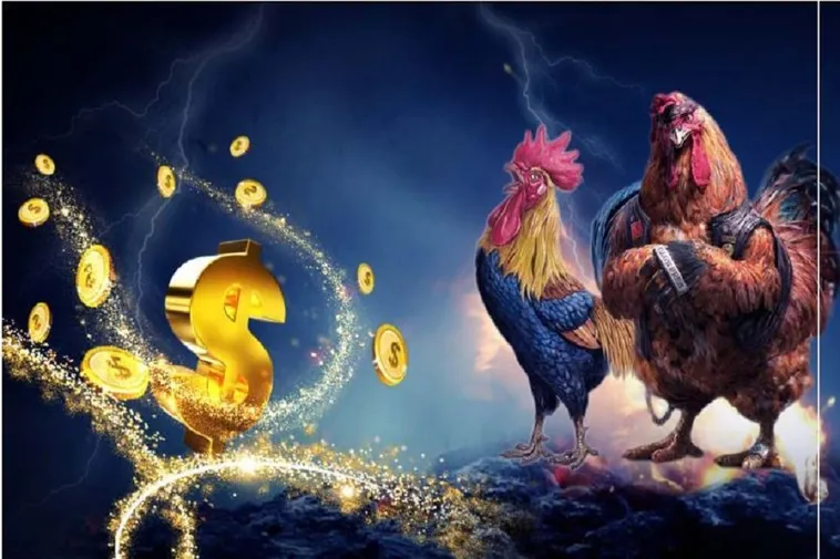 Đá Gà 777Loc Hấp Dẫn Người Chơi Với Sức Hút Đặc Biệt