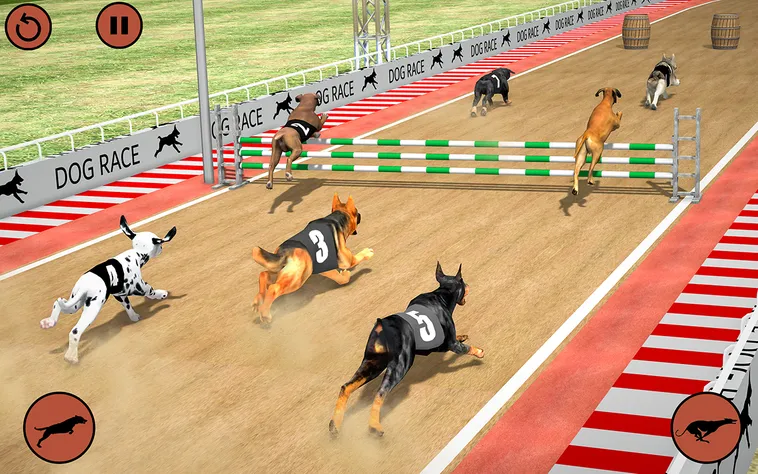 Hướng Dẫn Chơi Game Nhanh Đua Chó Tại 777Loc Hiệu Quả 2 Hướng Dẫn Chơi Game Nhanh Đua Chó Tại 777Loc Hiệu Quả