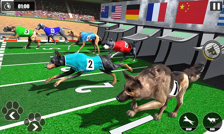 Hướng Dẫn Chơi Game Nhanh Đua Chó Tại 777Loc Hiệu Quả