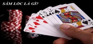Cách Chơi Sâm Lốc Nhà Cái 777Loc Thành Công Cho Người Mới